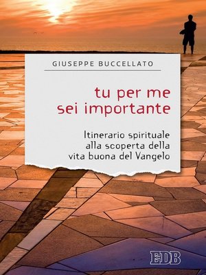 cover image of Tu per me sei importante